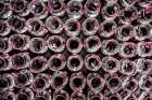 USA-WA-Red Mountain Samplers of Cabernet Sauvignon ready for the tasters evaluation Art Print